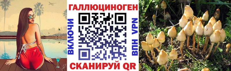 Псилоцибиновые грибы мухоморы  Цоци-Юрт 