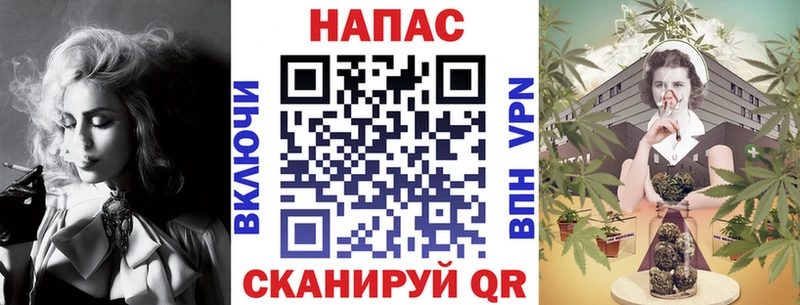 Каннабис семена Цоци-Юрт